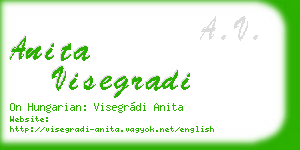 anita visegradi business card